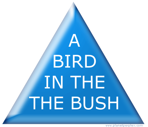 BirdInBush